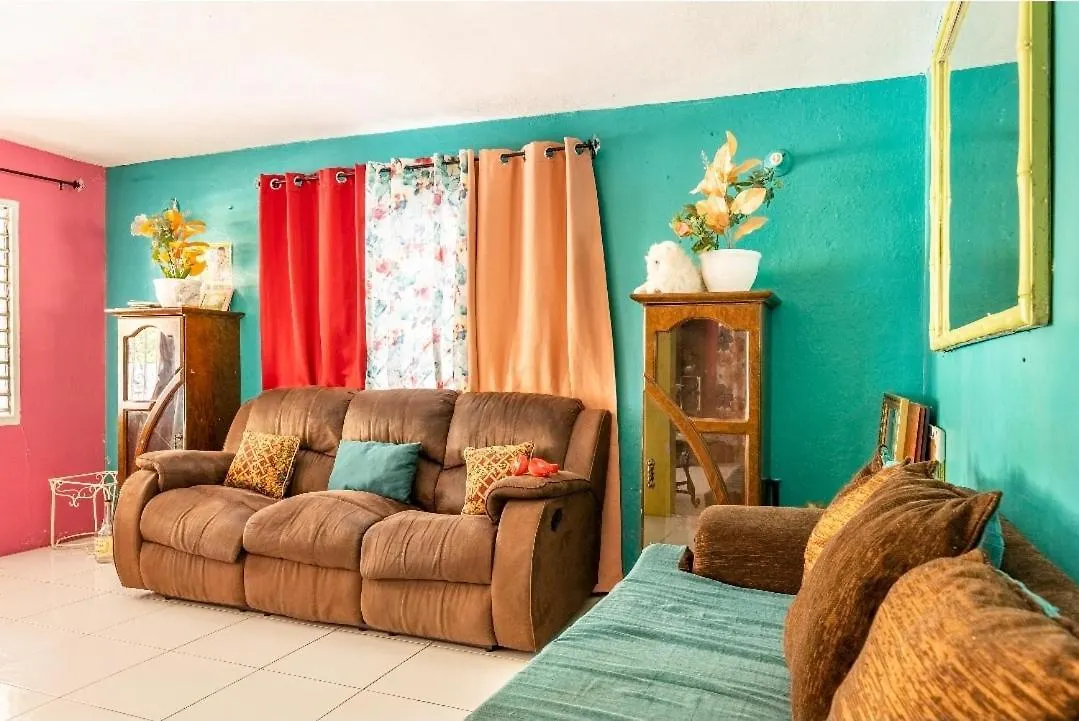 Colorful Private Room Oasis Montego Bay 0*,  Jamaica